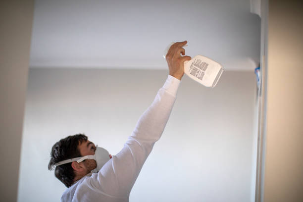 Best Industrial Mold Remediation in Denison, TX