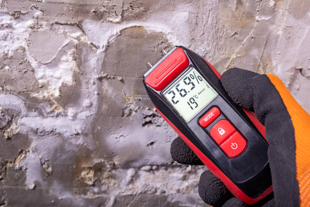 Trusted Denison, TX Mold Remediation Experts